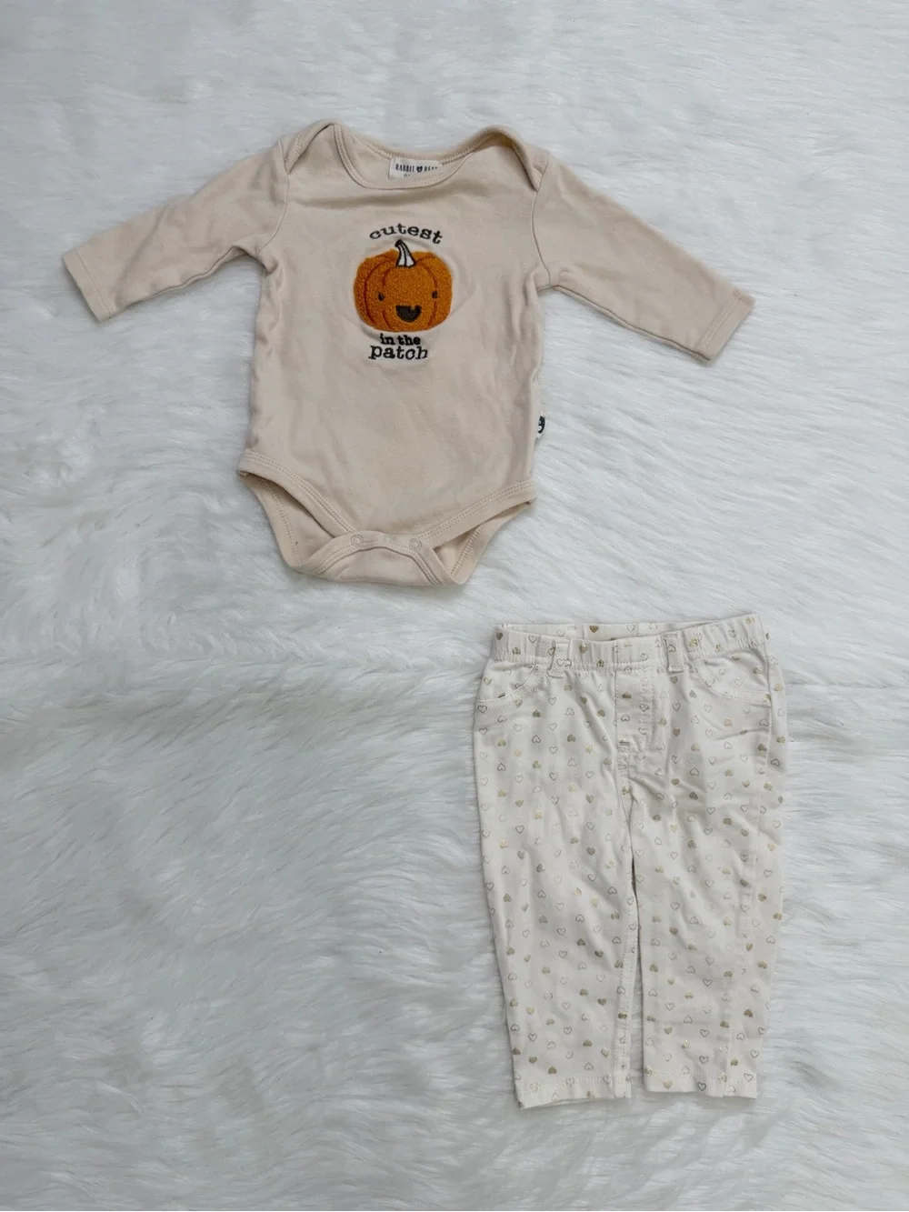 3-6 Months Baby Girl Fall/Spring Clothes LOT